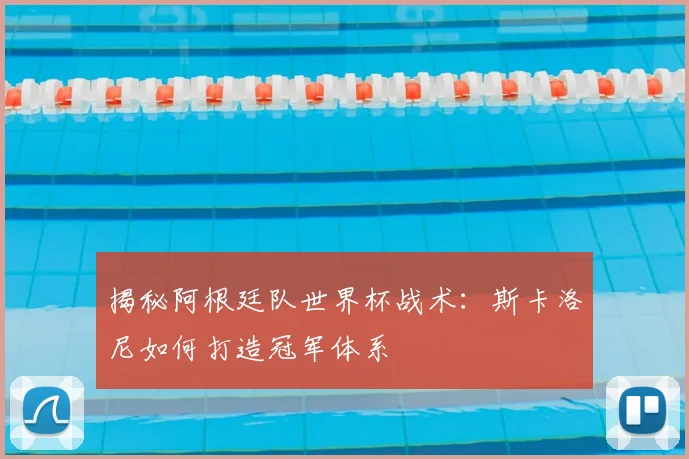 揭秘阿根廷队世界杯战术：斯卡洛尼如何打造冠军体系