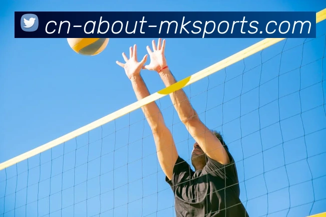 MK体育服务体系